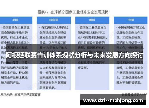 阿根廷联赛青训体系现状分析与未来发展方向探讨